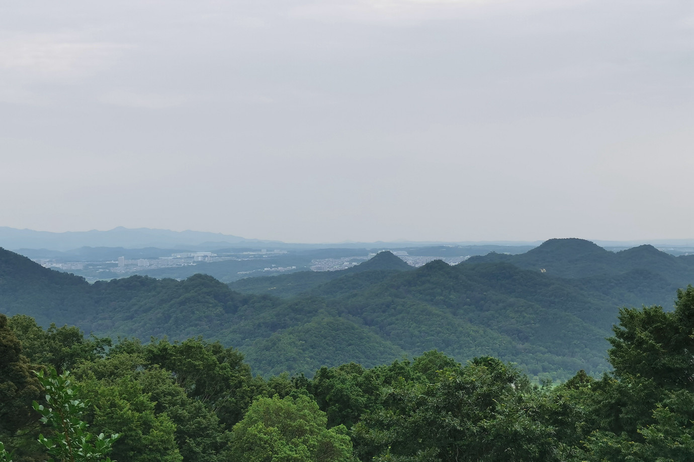 西國番外-東光山花山院菩提寺